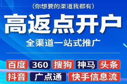 SEM代运营经典案例解析与启示